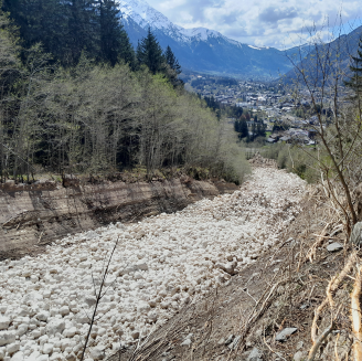 Avalanche de neige humide sous forme granulaireSite EPA de Greppon (N°018)@ONF RTM - 01/05/2023