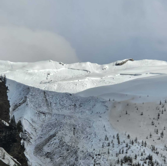 Cassures linéaires du manteau neigeuxSite EPA de L'Aiguille (n°201)@ONF RTM - 22/05/2024