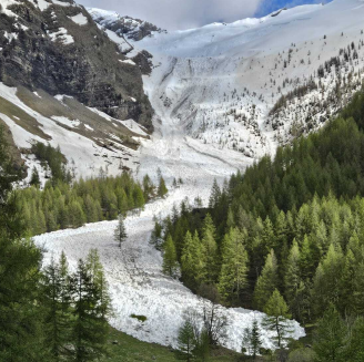 Large dépôt d’avalancheSite EPA de L'Aiguille (n°201)@ONF RTM - 22/05/2024